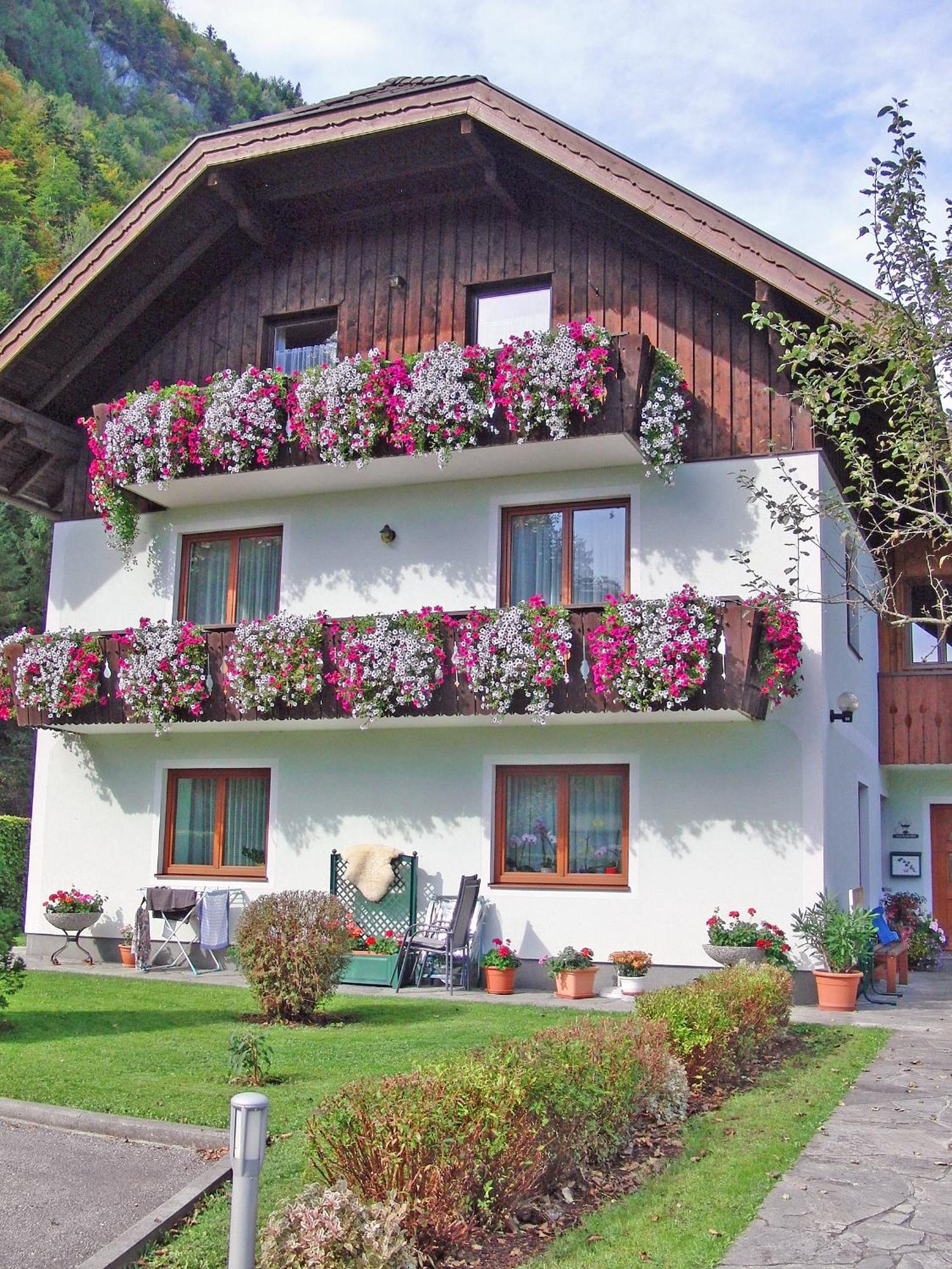 Haus Seehof سانكت جيلجن المظهر الخارجي الصورة